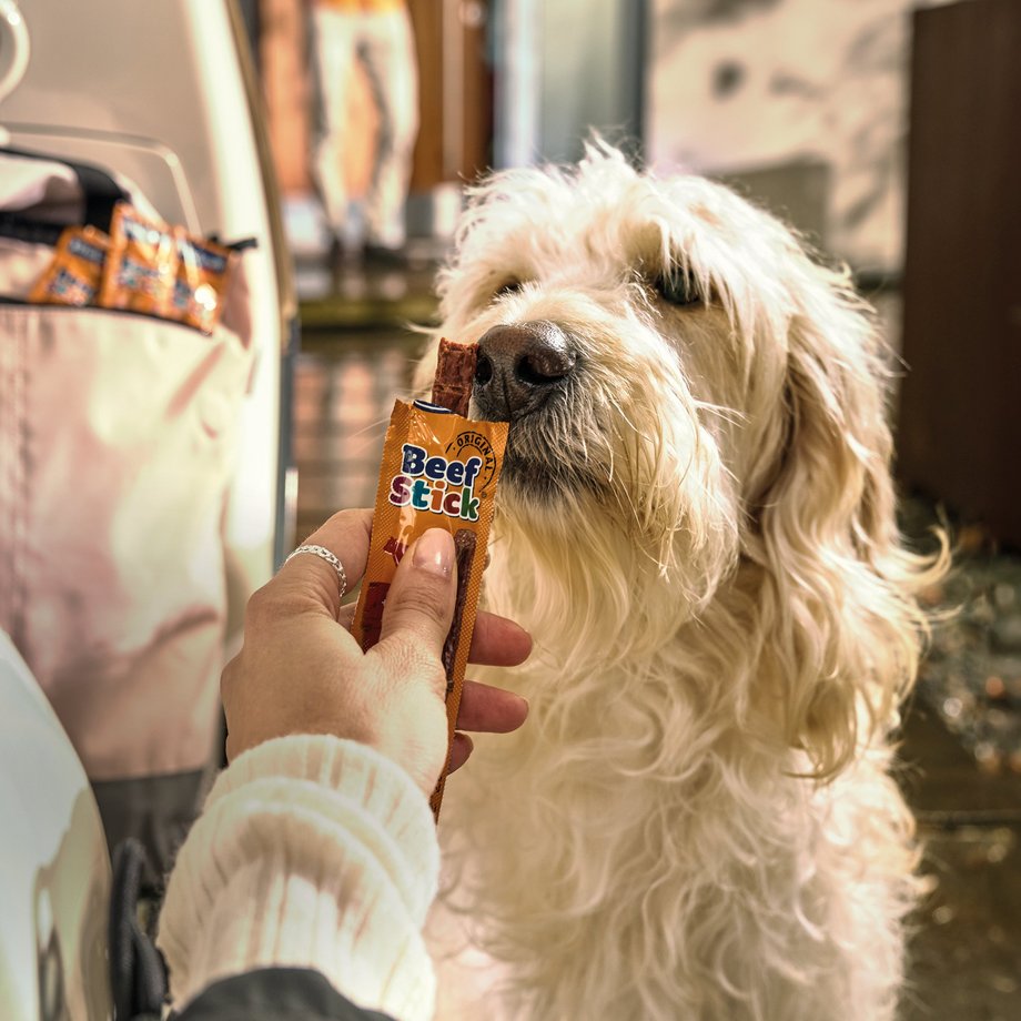 Keyvisual Vitakraft Produkt Beef Stick f&uuml;r Hunde