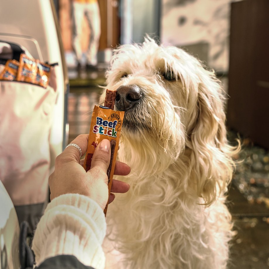 Keyvisual Vitakraft Produkt Beef Stick für Hunde