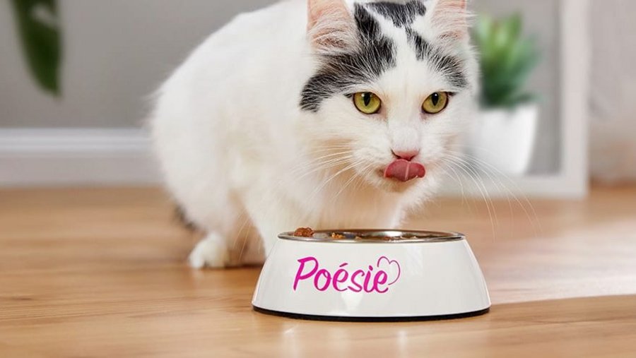 Kat met po&euml;tisch natvoer Vitakraft Taurine