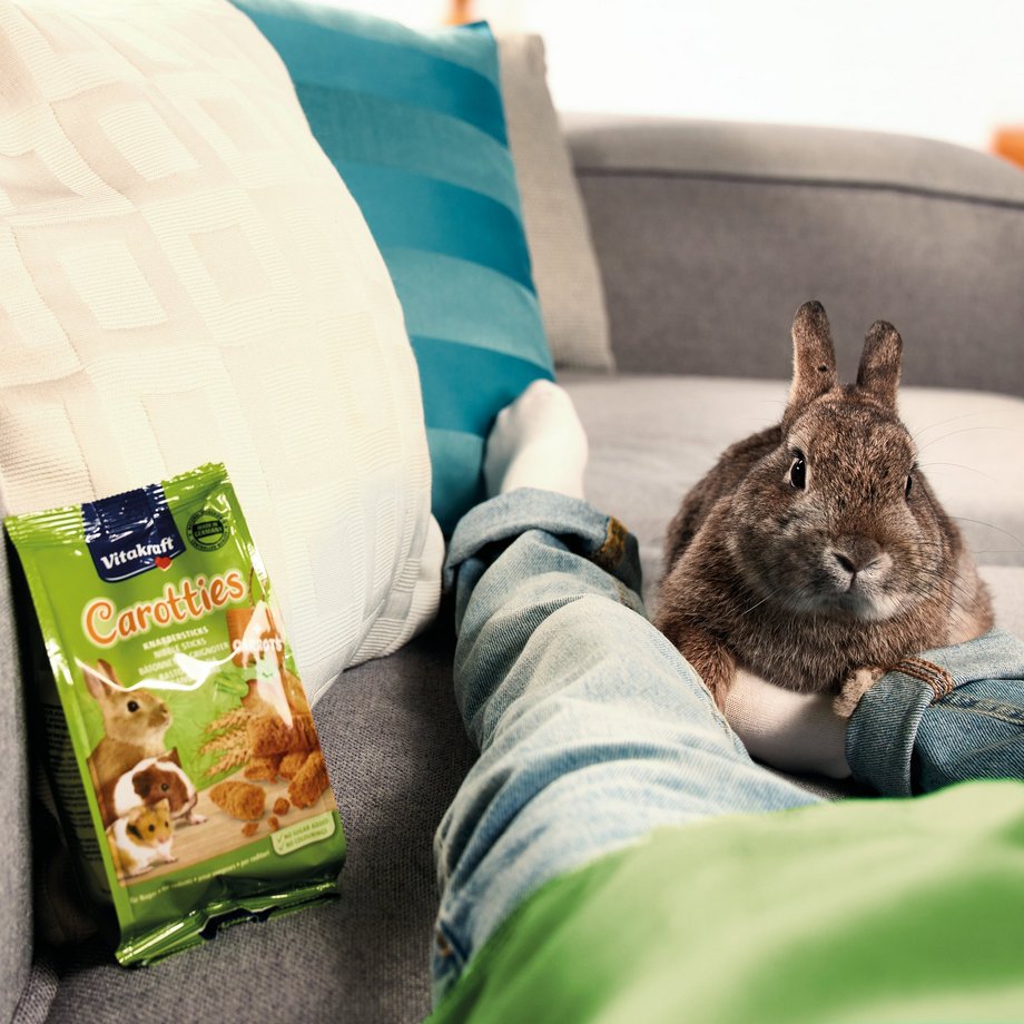 Braunes Kaninchen liegt auf dem Sofa, neben ihm stehen die Carotties von Vitakraft