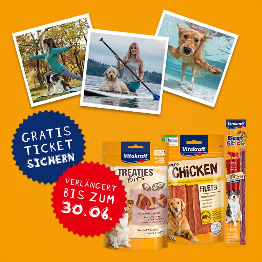 3 Abbildungen mit Freizeitaktivitäten mit Hund sowie Packshots von Vitakraft Hundesnacks