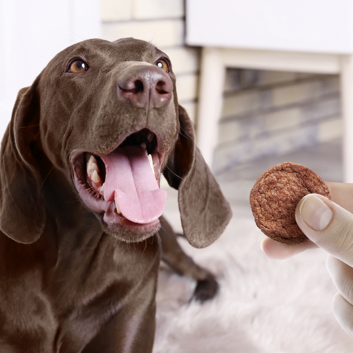 Hund Beef Burger Snack