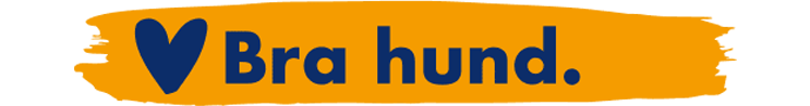 Hj&auml;rtsymbol och texten Bra hund
